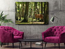 obraz na plátne jeleň v lese
